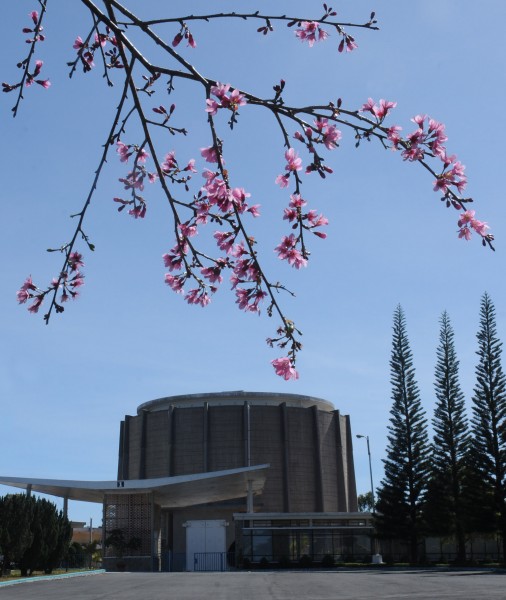 ben_lo_phan_ung_hat_nhan_dalat_-_ha_huu_net