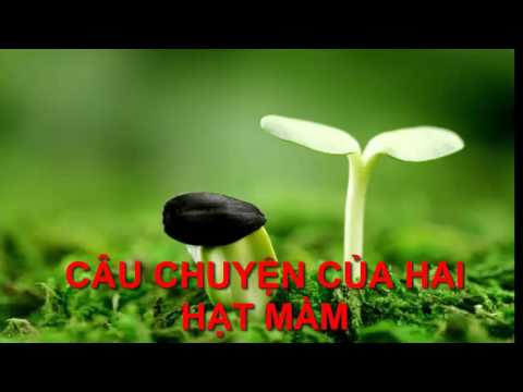 Câu chuyện của hai hạt mầm