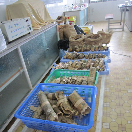 Khoa Sinh học Môi trường hợp tác nghiên cứu với dự án LEAF