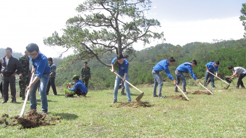 Sinh viên Đại học Yersin hết mình với chiến dịch tình nguyện Mùa hè xanh 2014