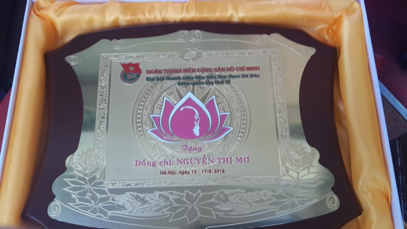 Cựu SV Nguyễn Thị Mơ vinh dự được tuyên dương Thanh niên tiên tiến làm theo lời Bác