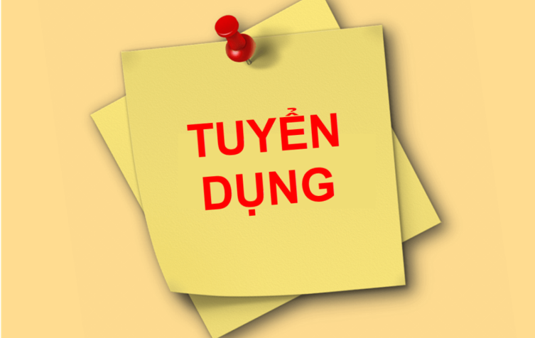 Tuyển dụng chuyên viên làm việc tại thư viện trường Đại học Yersin Đà Lạt