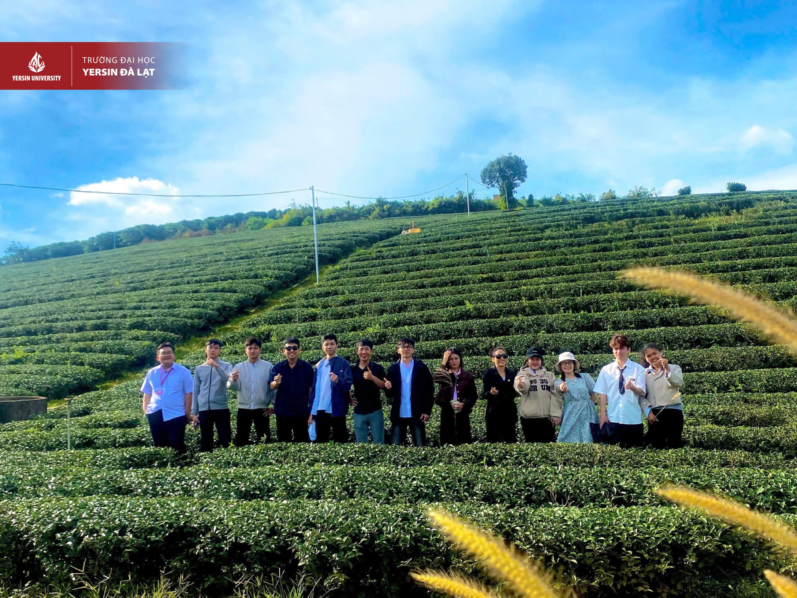 Yersiners Công nghệ ứng dụng trải nghiệm thực tế tại doanh nghiệp năm 2025