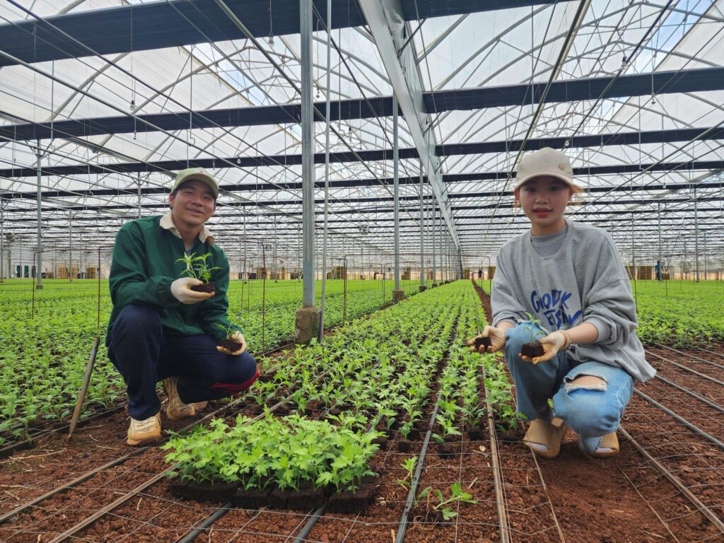 Mức lương ngành công nghệ sinh học